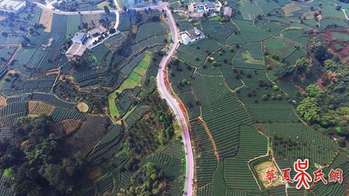 清代蜀学大师吴之英与蒙顶山茶