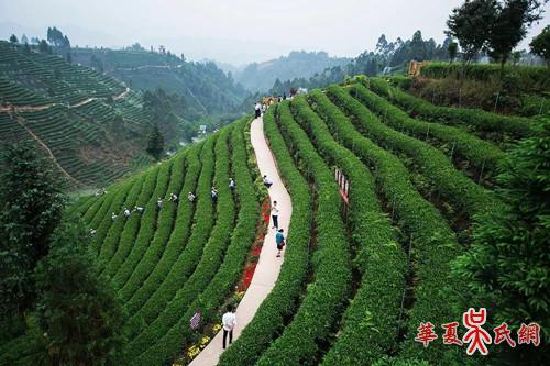 清代蜀学大师吴之英与蒙顶山茶